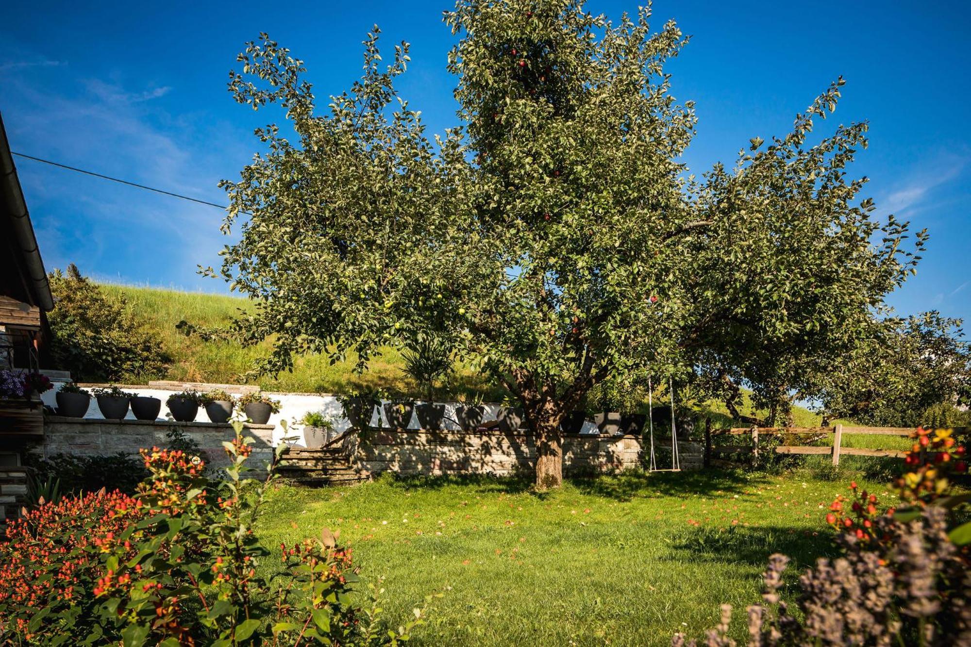 Haus Bichler Διαμέρισμα Kössen Εξωτερικό φωτογραφία